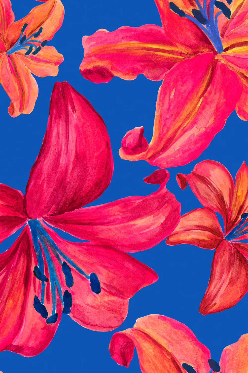 Gavin One Piece Swimsuit - Wonders - Image 6